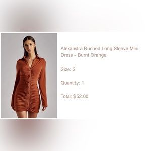 Meshki long sleeve button mini dress.